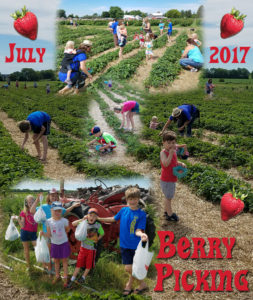 Berry Picking Collage Small 7-17
